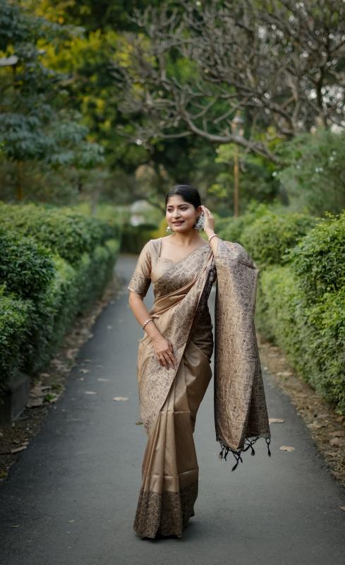 Akshara saree shop in surat gujarat
